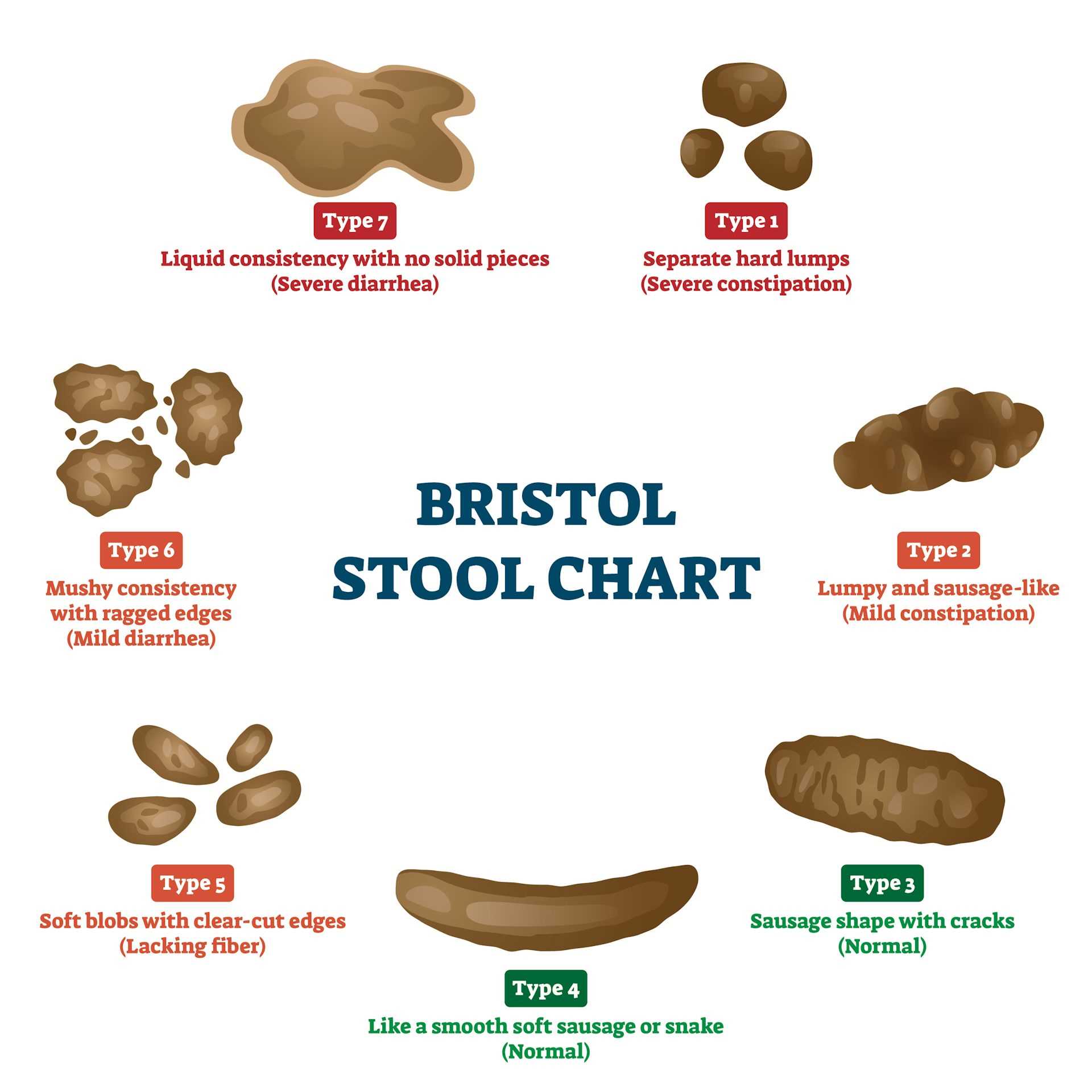 Impact on Digestion