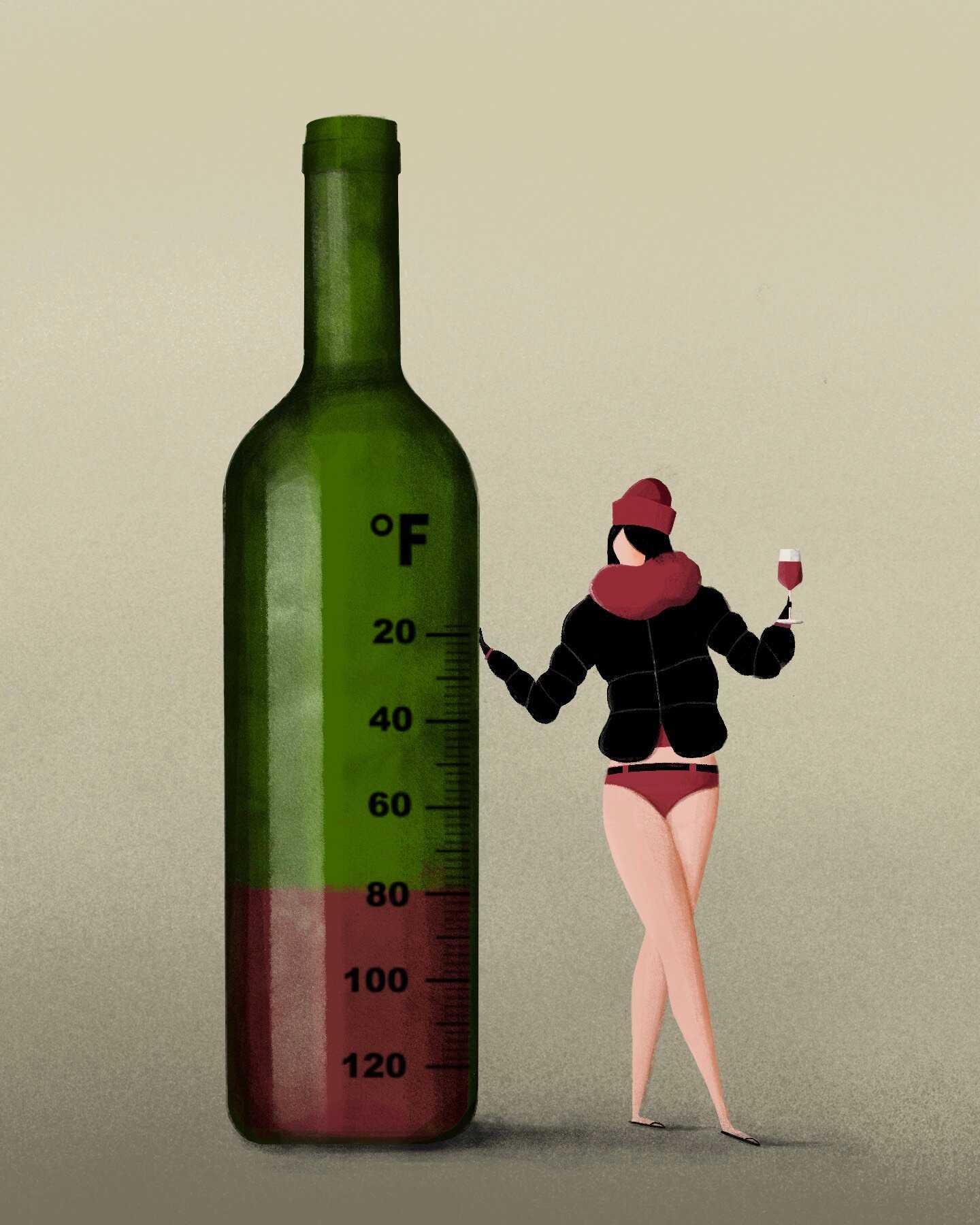 Recommendations for Different Types of Red Wine