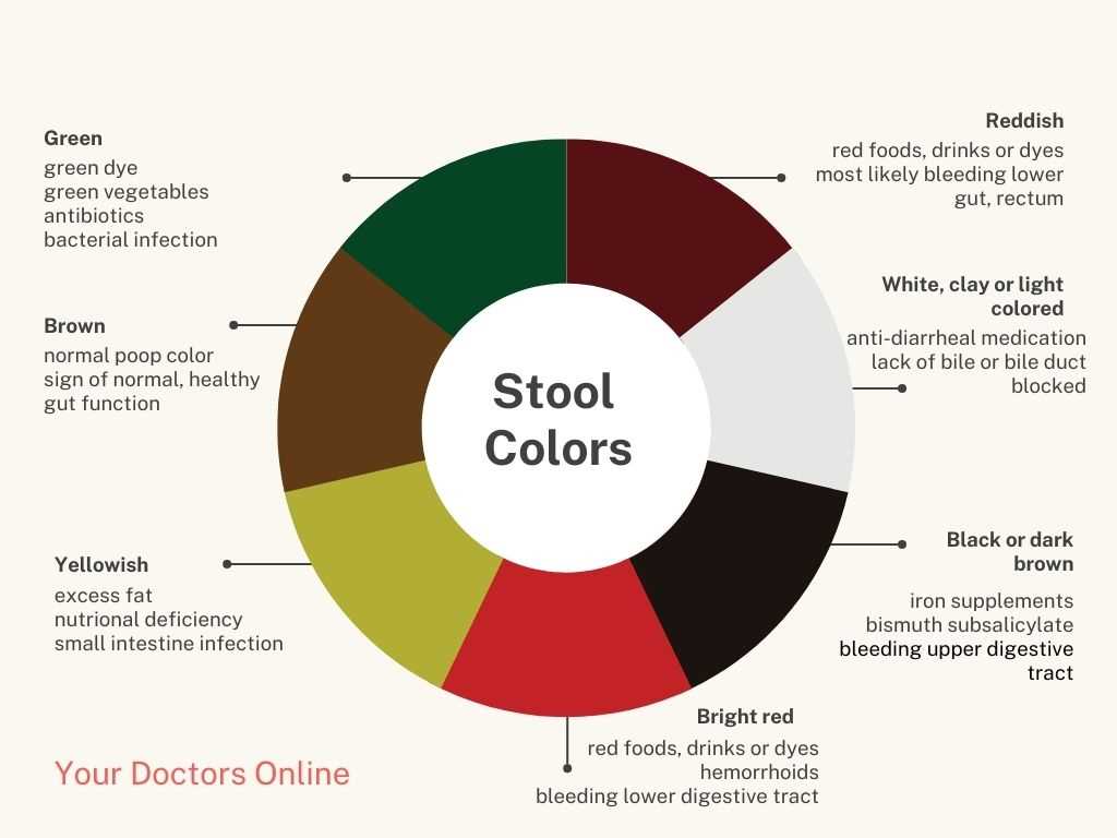 When to Seek Medical Attention for Digestive Issues