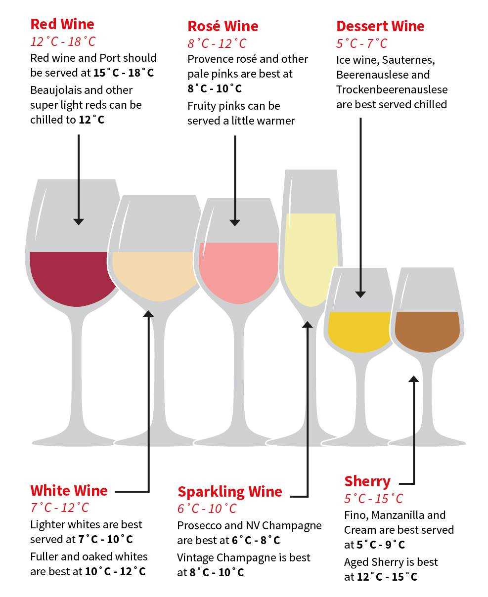 Regional Trends: How Different Cultures Serve Red Wine